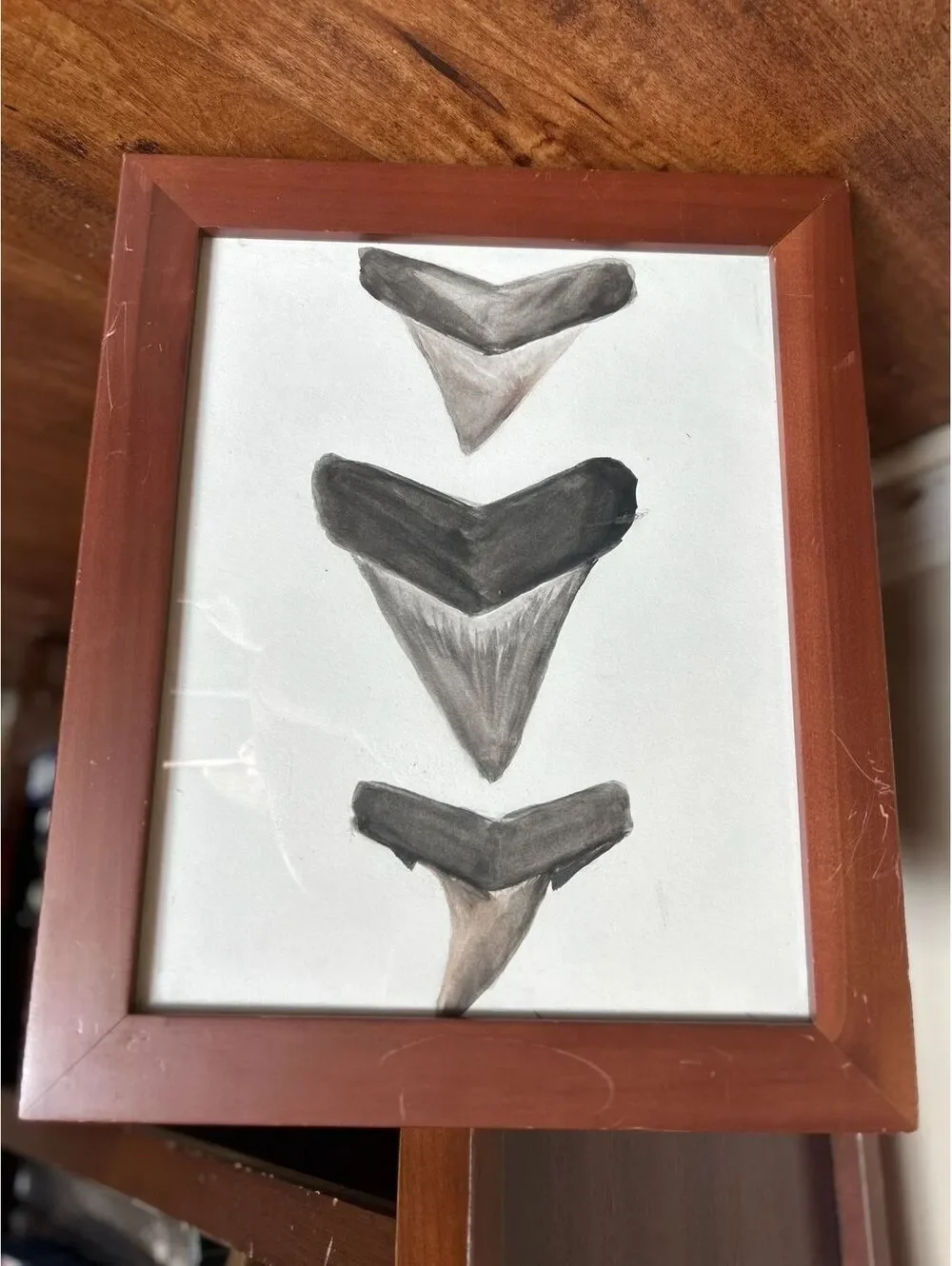 Framed Shark Teeth Art Painting with Wooden Frame